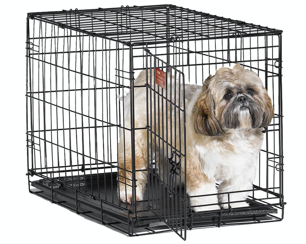 Midwest iCrate Dog Crate for Doggy Owners 1 Amazon Best Seller