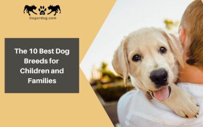 The 10 Best Dog Breeds for Children and Families