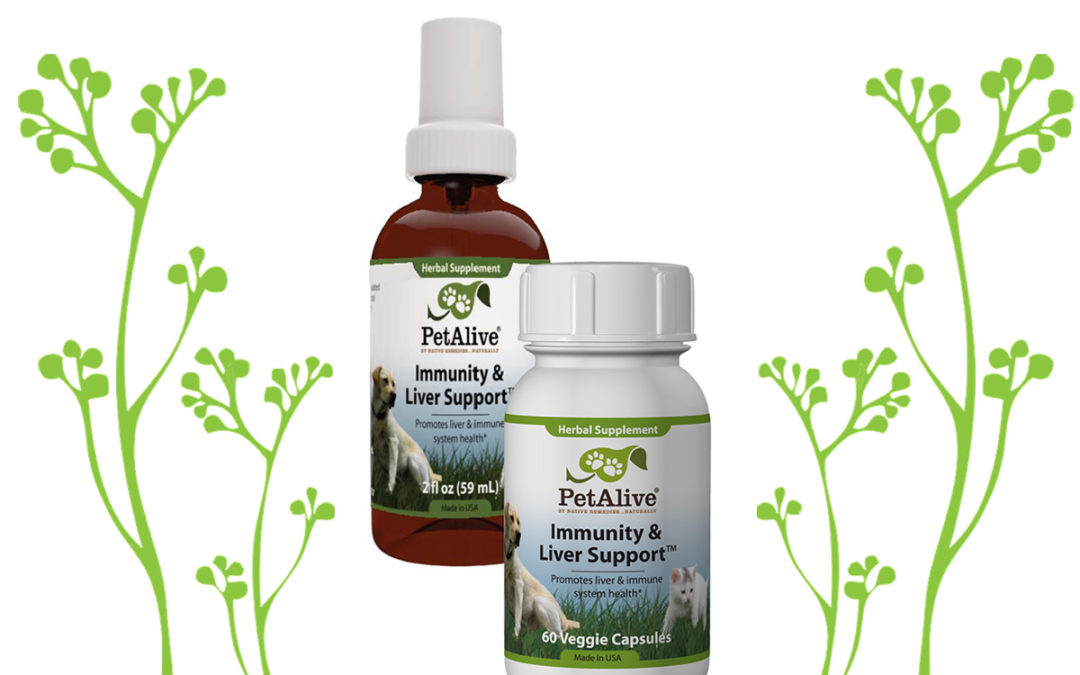Dog Immunity and Liver Support™ from PetAlive
