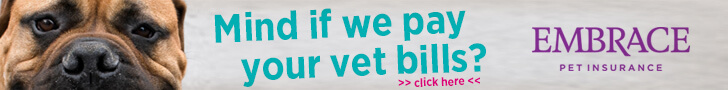 Best Pet Insurance