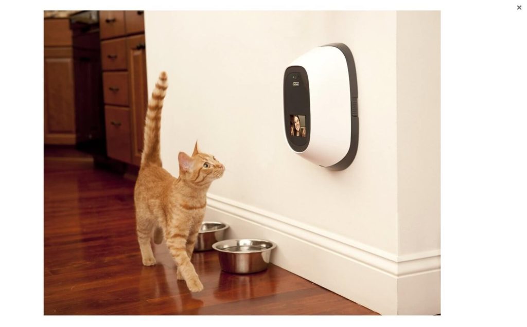 pet camera and treat dispenser