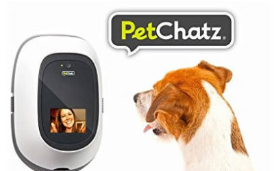 Dog Treat Dispenser Review with Camera by PetChatz for Dogs and Cats