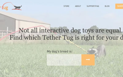 Tether Tug Dog Toy – Interactive Dog Toys for Playful Pups!