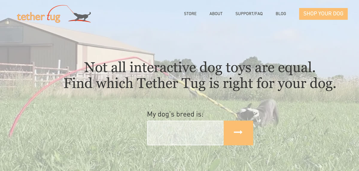 Have an energetic dog with high toy drive? Tether Tug is for them