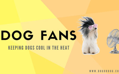 Dog Fans – Keeping Dogs Cool in the Heat and Prevent Heat Stroke