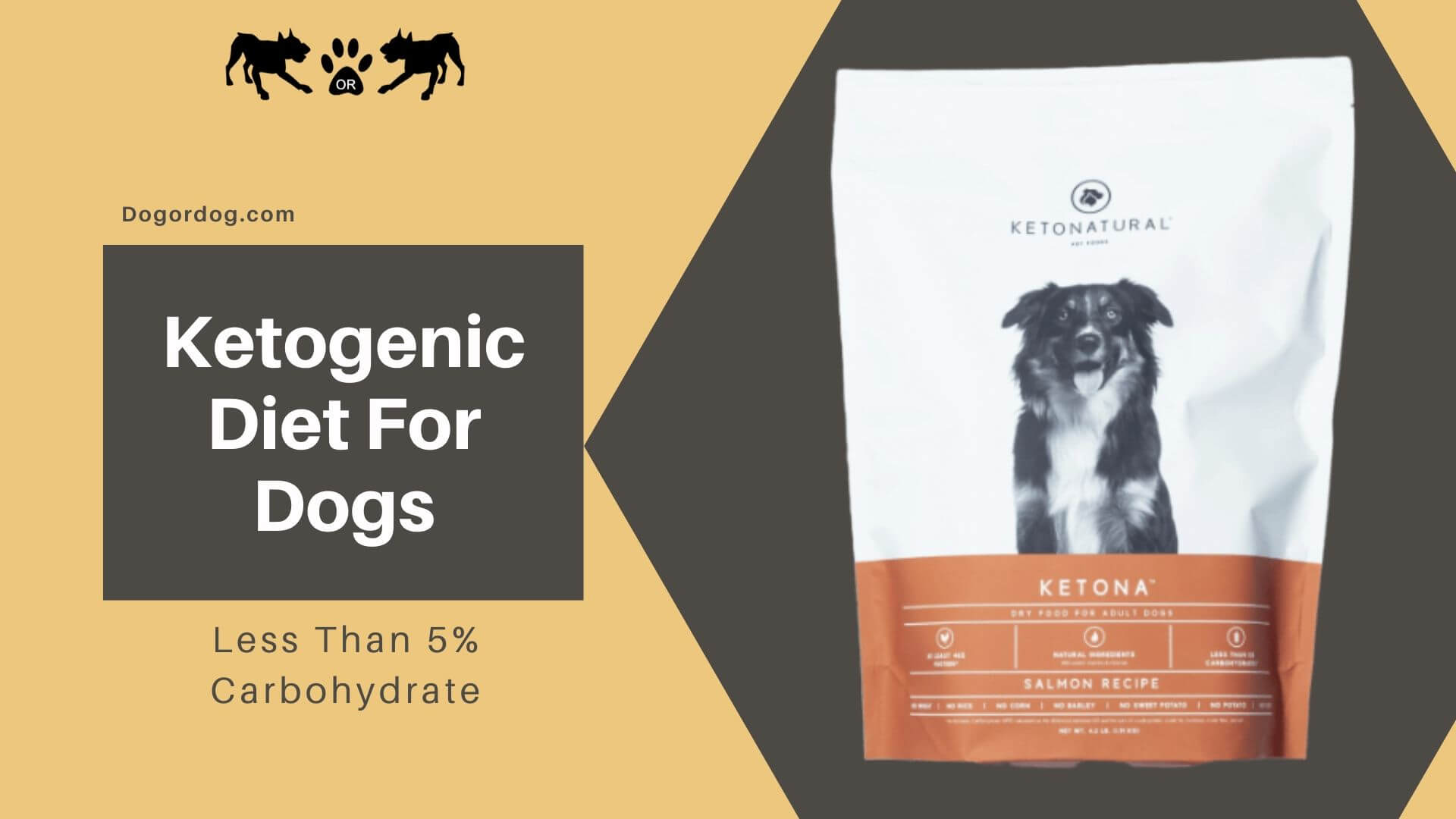 Ketogenic Diet For Dogs