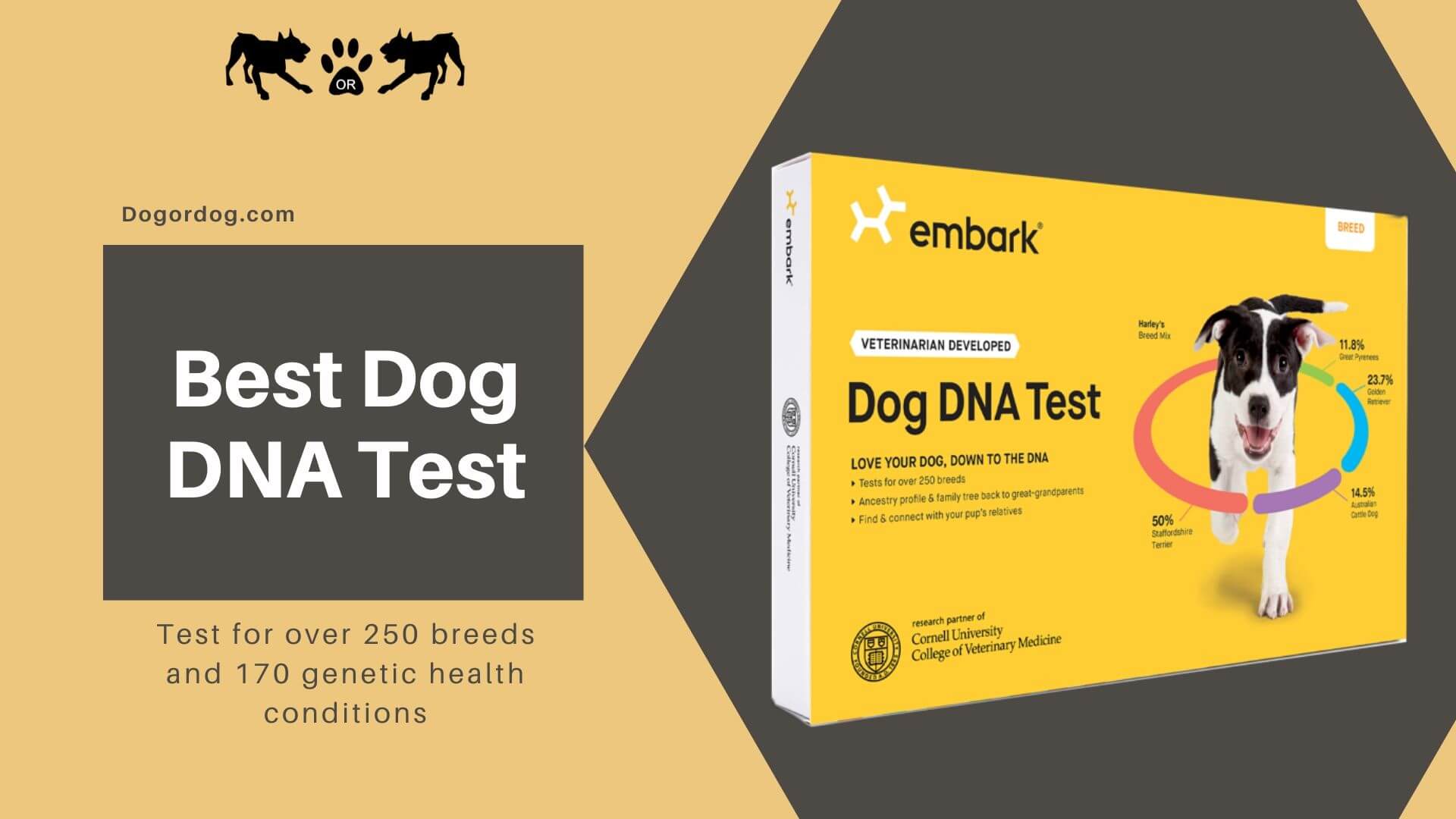 Embark Dog DNA Test: Their best life starts with Embark.