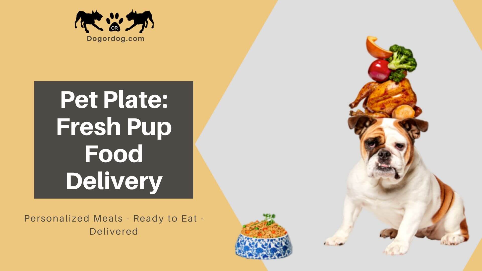 Petplate dog food review