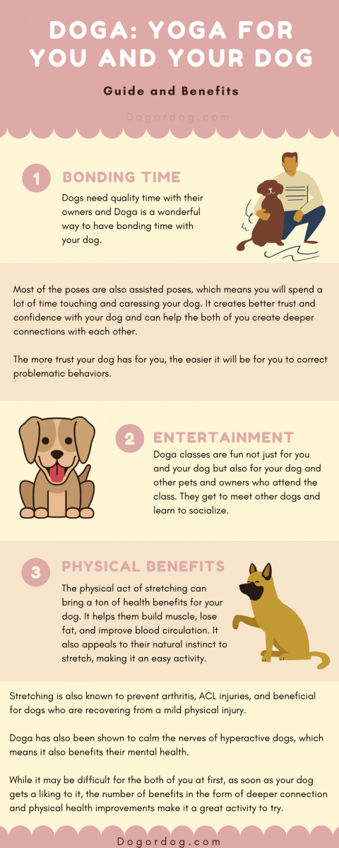 3 Benefits of DOGA: Yoga For You and Your Dog | Guide and Benefits