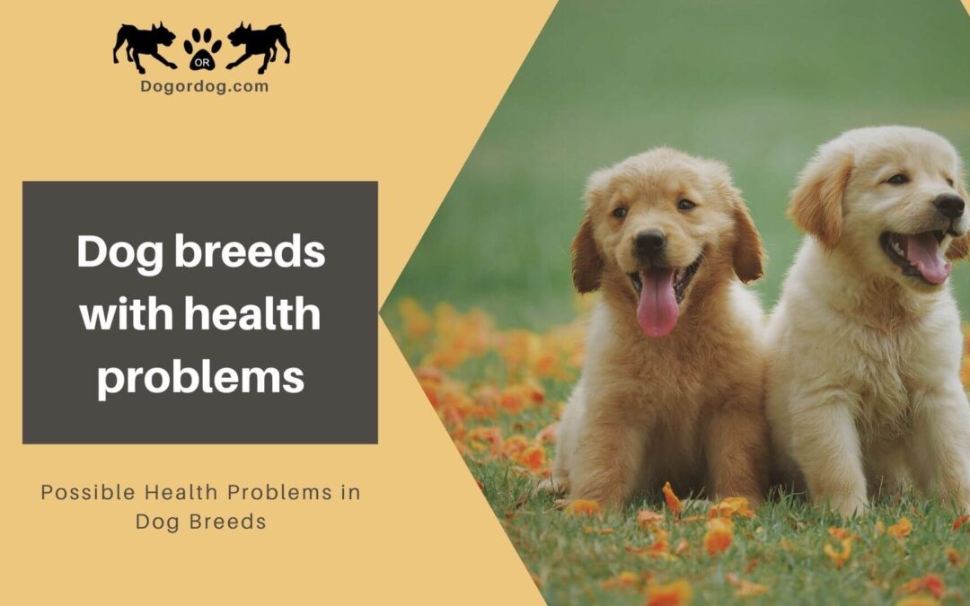 Dog breeds with health problems