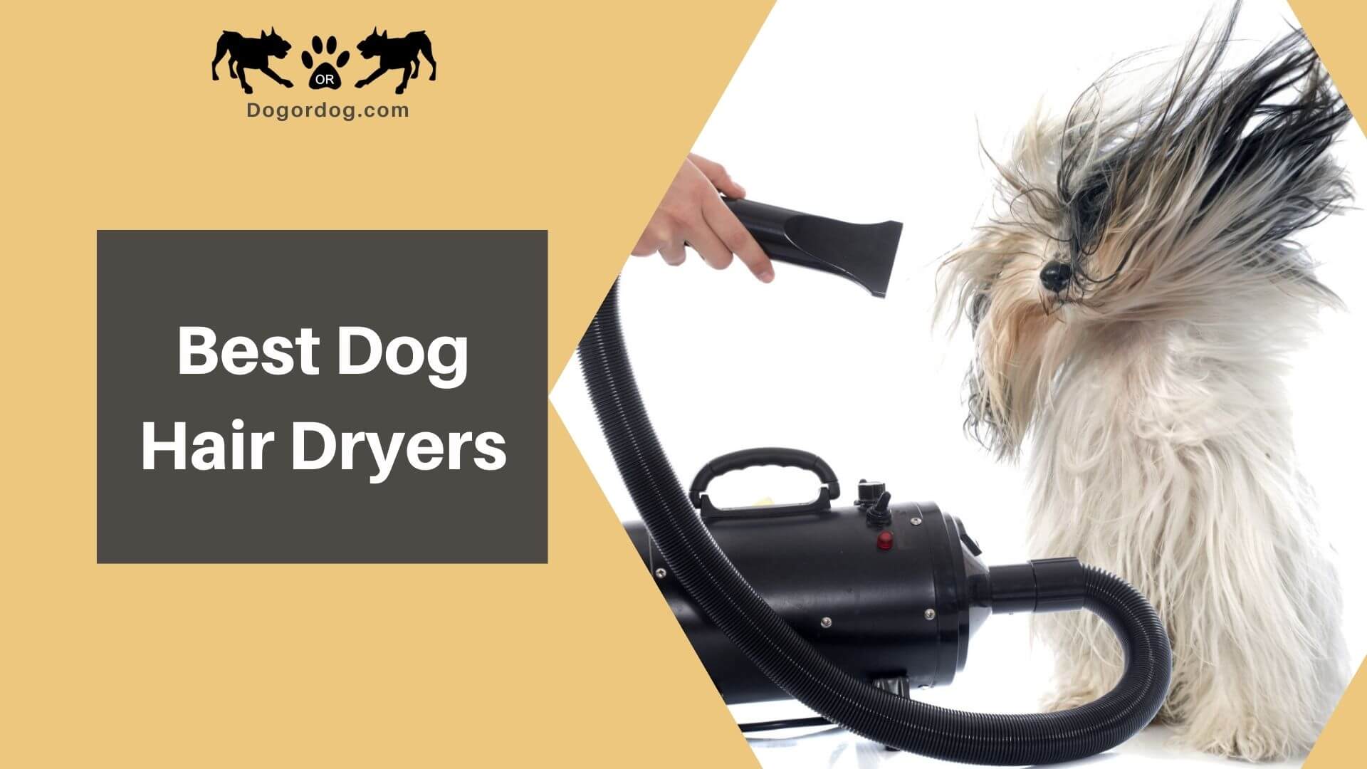 professional dog hair dryer