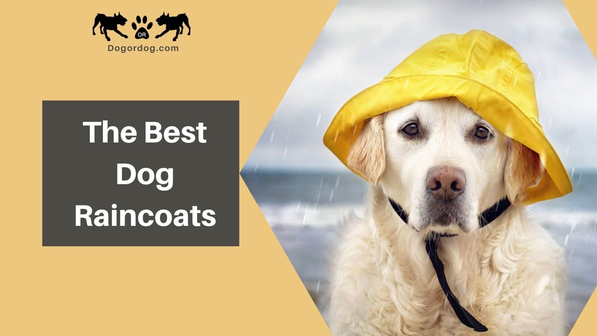 waterproof dog raincoat