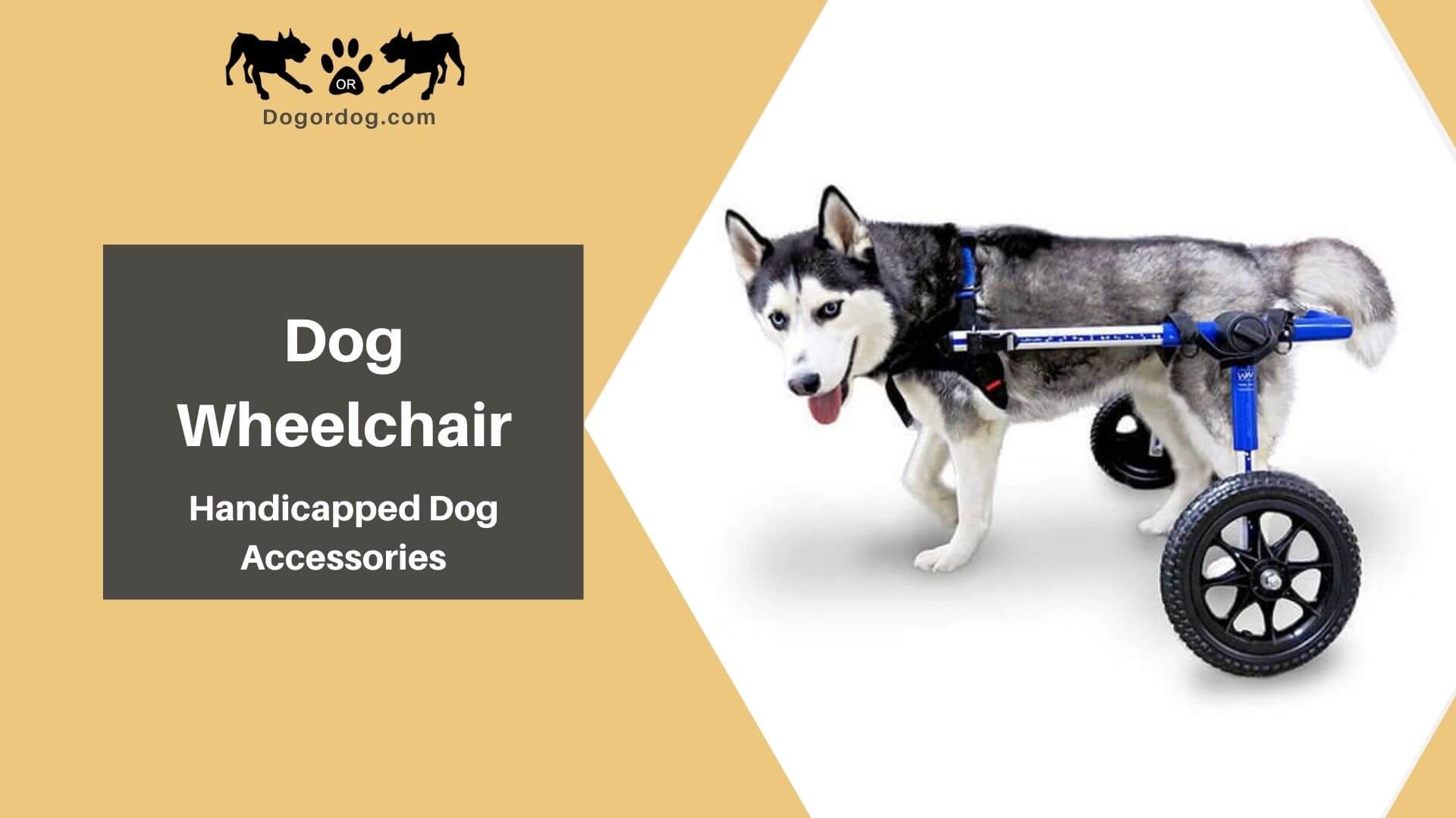 Disabled Dog Products Handicapped Pet Supplies Wheelchairs