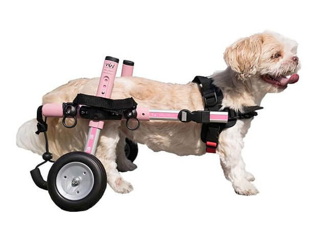 walkin wheels dog wheelchairs