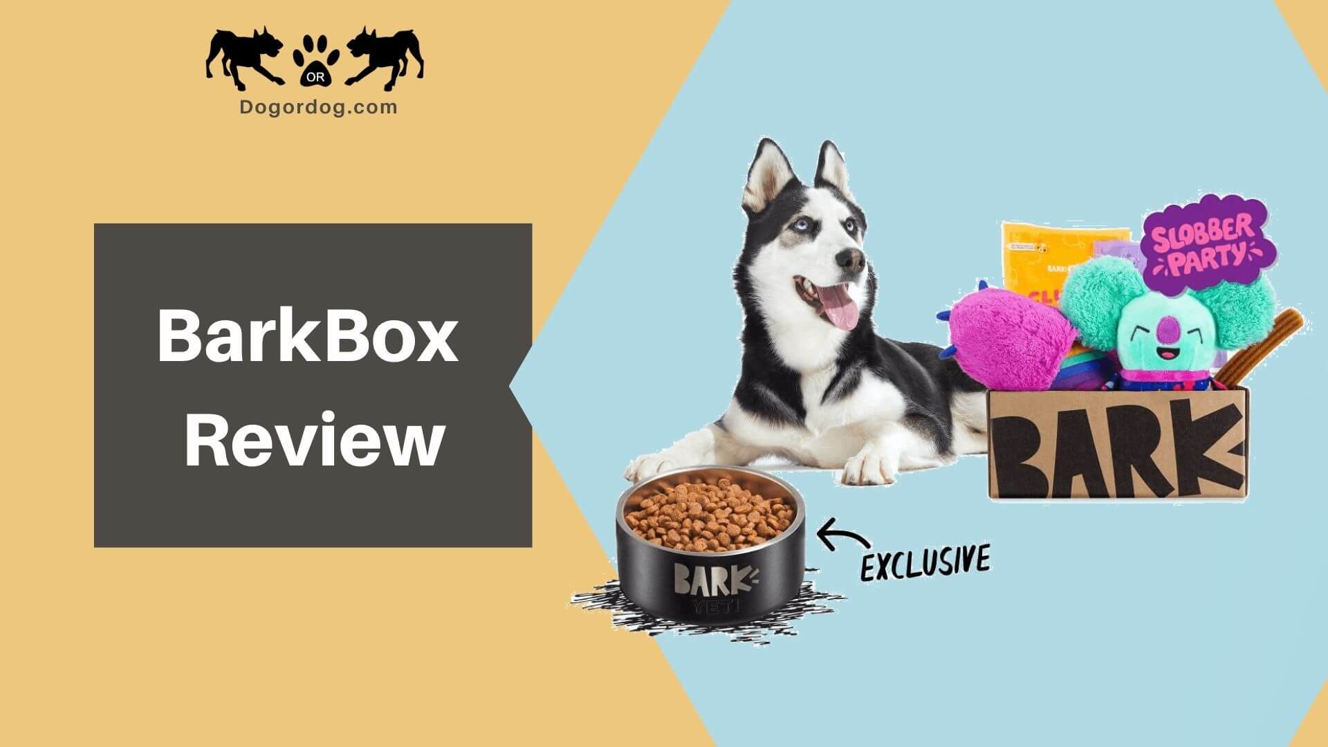 barkbox reviews price