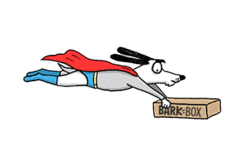 how barkbox works 