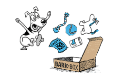 how barkbox works